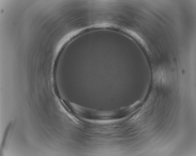 X0000070411327200606091141