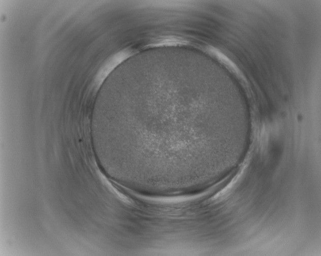 X0000070411329200606091141