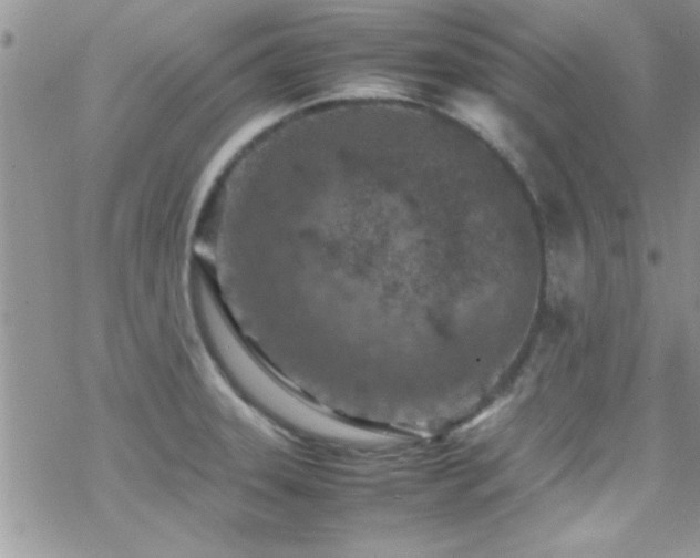 X0000070411331200606091141