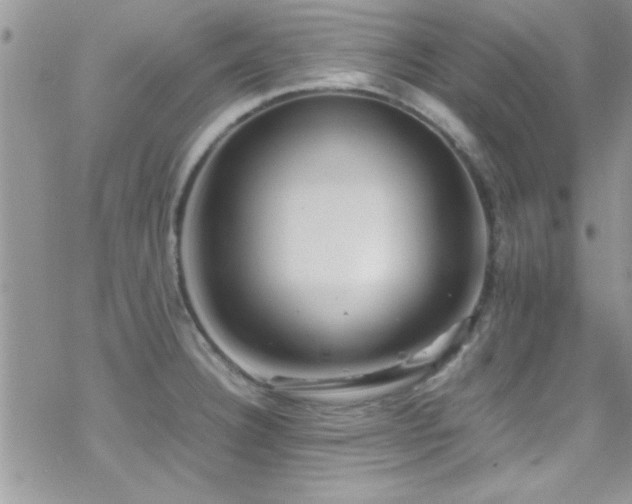 X0000070411332200606091141