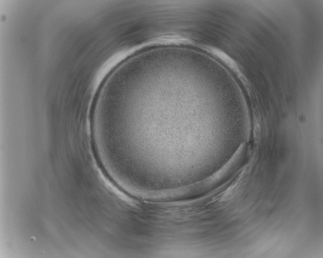 X0000070411335200606091141