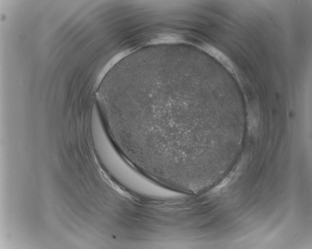 X0000070411337200606091141