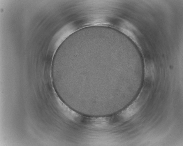 X0000070411338200606091141