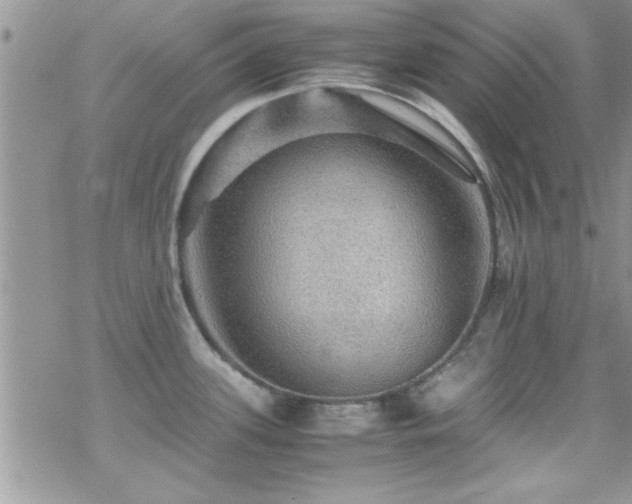 X0000070411339200606091141