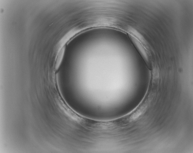 X0000070411340200606091142