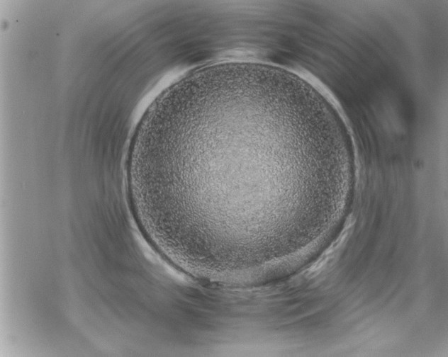 X0000070411341200606091142