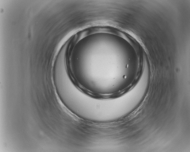 X0000070411342200606091142