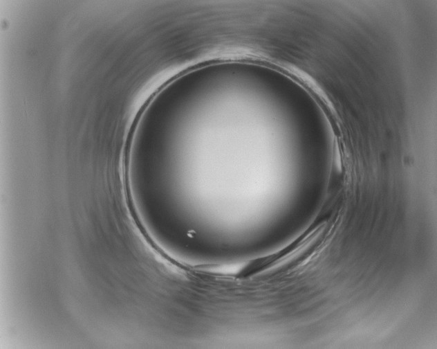 X0000070411343200606091142