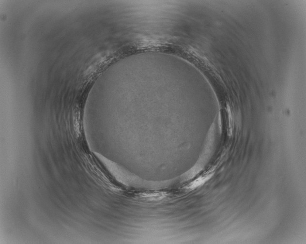 X0000070411348200606091141