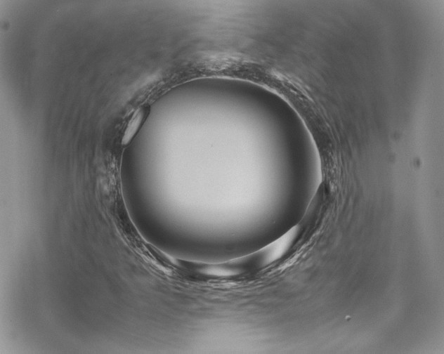 X0000070411349200606091141