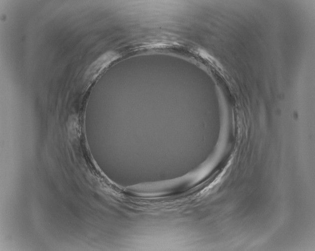 X0000070411353200606091141