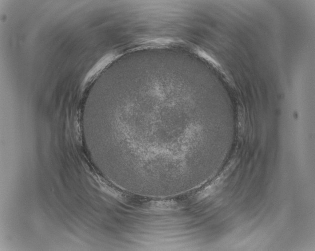 X0000070411354200606091141