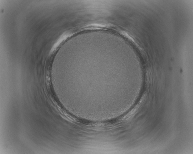 X0000070411355200606091141