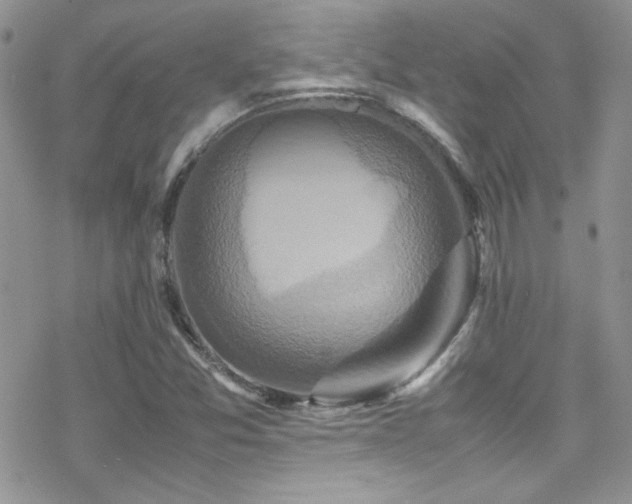 X0000070411357200606091141