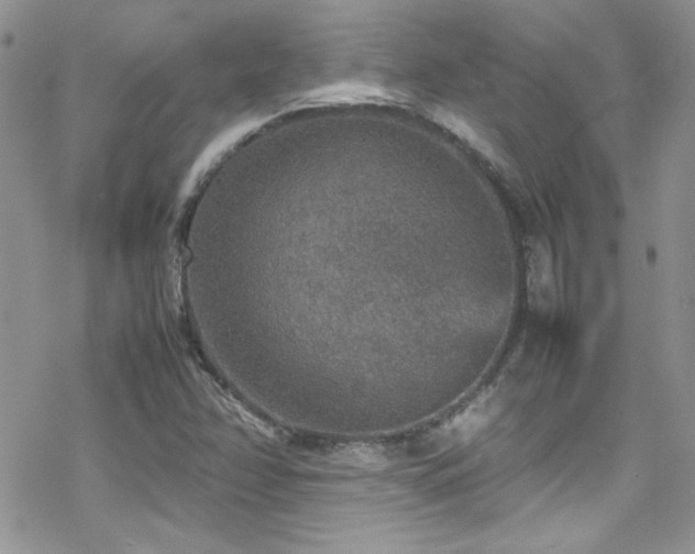 X0000070411358200606091141