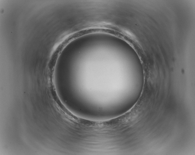 X0000070411360200606091141