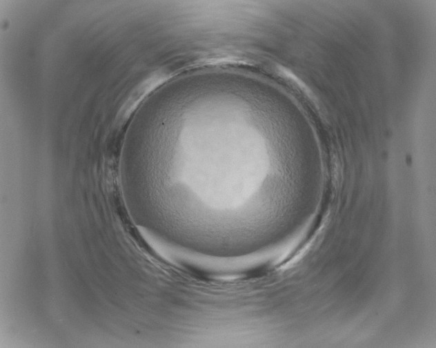 X0000070411361200606091141