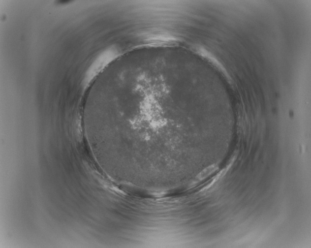 X0000070411362200606091140