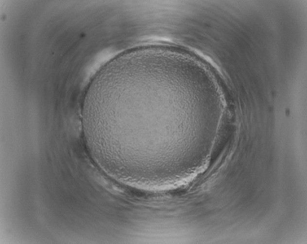 X0000070411363200606091140