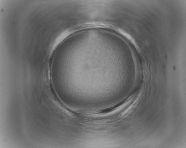 X0000070411365200606091140