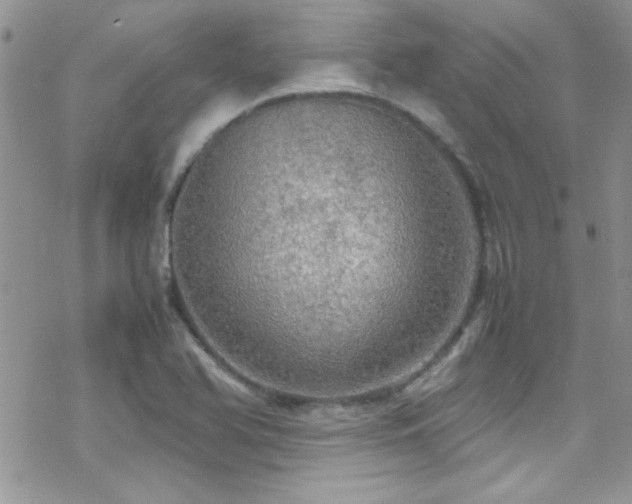 X0000070411366200606091140