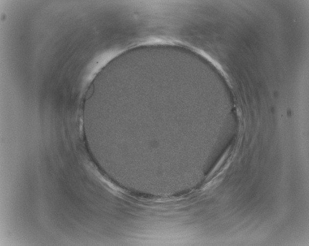 X0000070411367200606091140