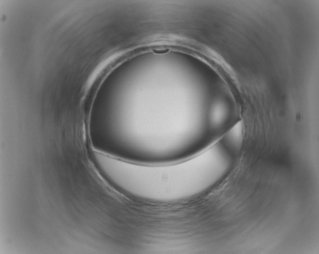 X0000070411368200606091140