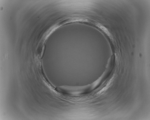 X0000070411369200606091140