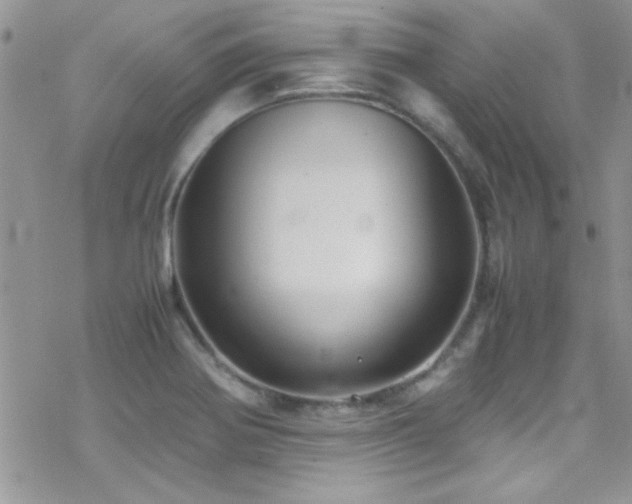 X0000070411370200606091140