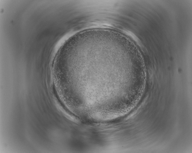 X0000070411371200606091140