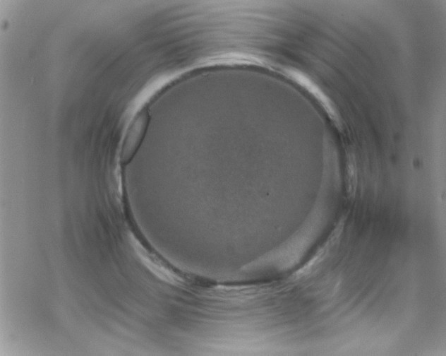 X0000070411372200606091140