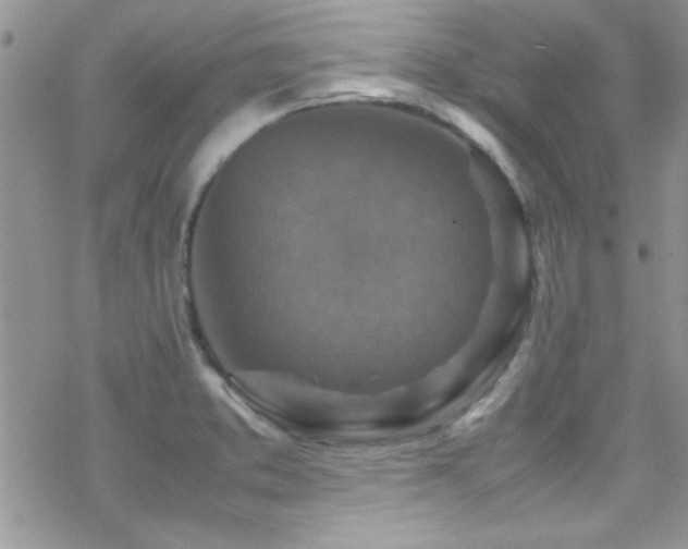 X0000070411373200606091140