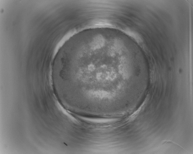 X0000070411374200606091140