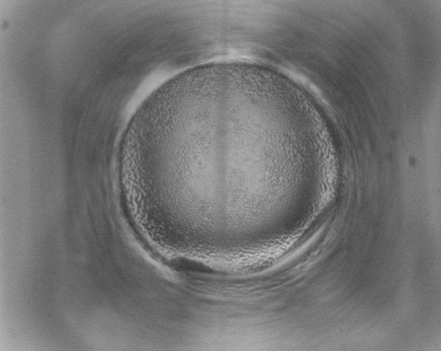 X0000070411375200606091140