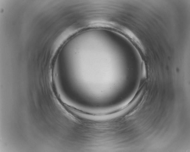 X0000070411376200606091140