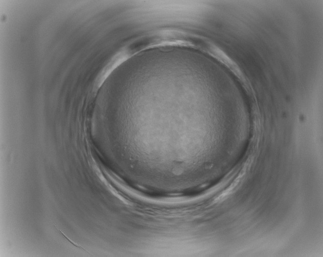 X0000070411377200606091140