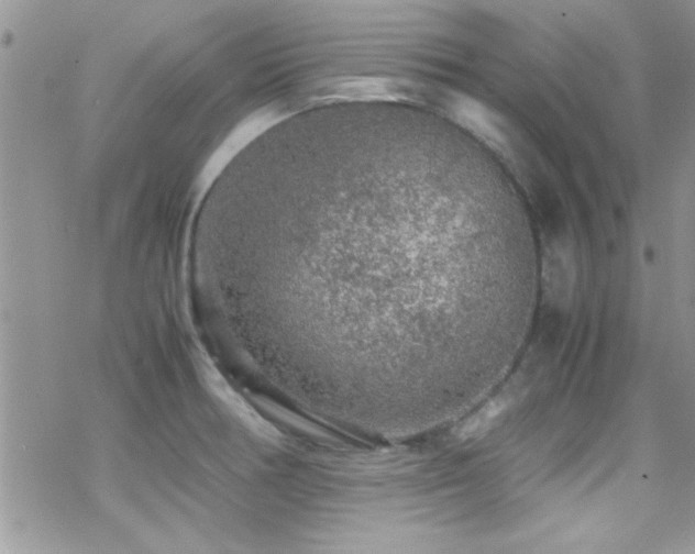 X0000070411378200606091140