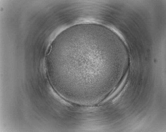 X0000070411382200606091140