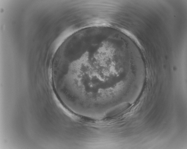 X0000070411383200606091140