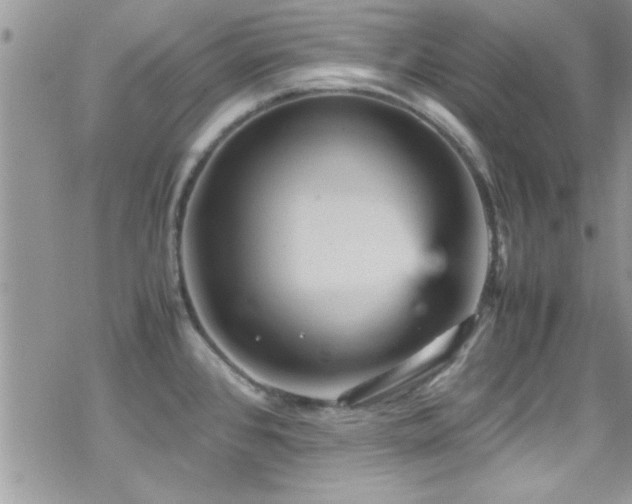 X0000070411384200606091140