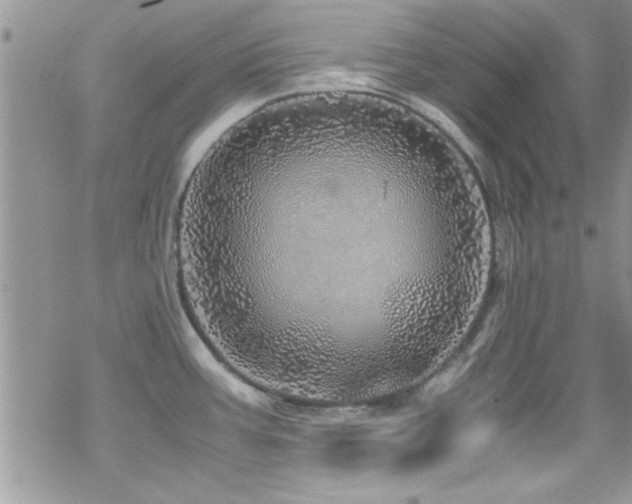 X0000070411387200606091140