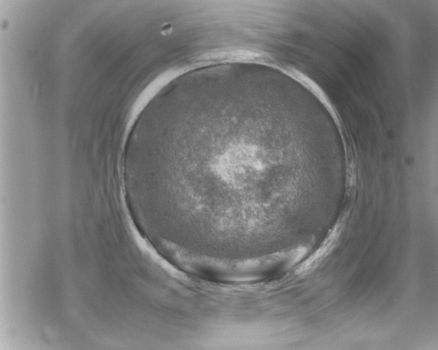 X0000070411389200606091140