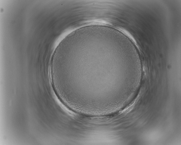 X0000070411391200606091140