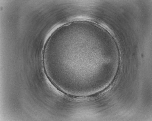 X0000070411392200606091140