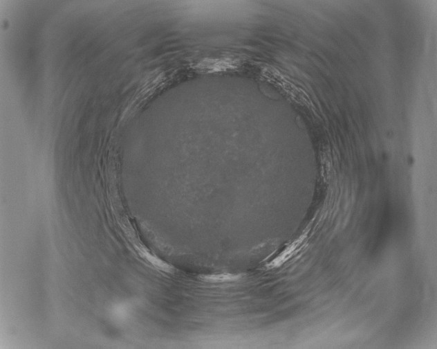 X0000070411393200606091139