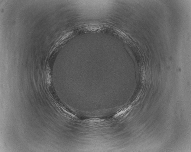 X0000070411394200606091139