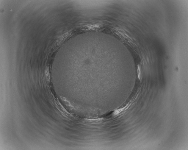 X0000070411395200606091139