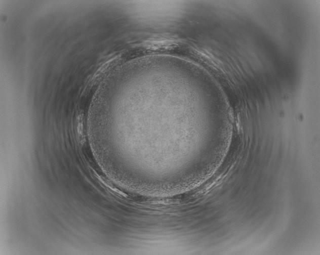 X0000070411396200606091139