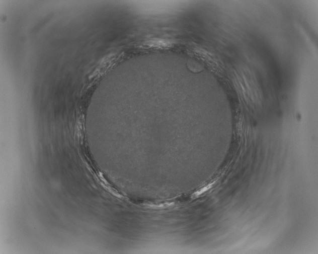 X0000070411397200606091139