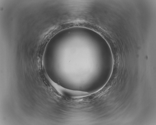 X0000070411398200606091139